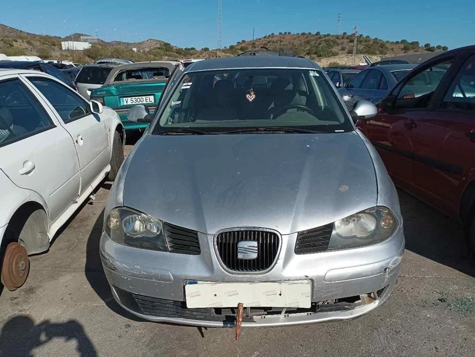 SEAT IBIZA (6L1)