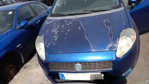 FIAT GRANDE PUNTO (199) foto 1