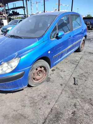 PEUGEOT 307 (S1)(04.2001) foto 8