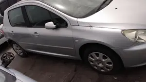 PEUGEOT 307 BERLINA (S2) foto 8