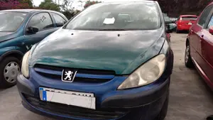 PEUGEOT 307 (S1)(04.2001) foto 1