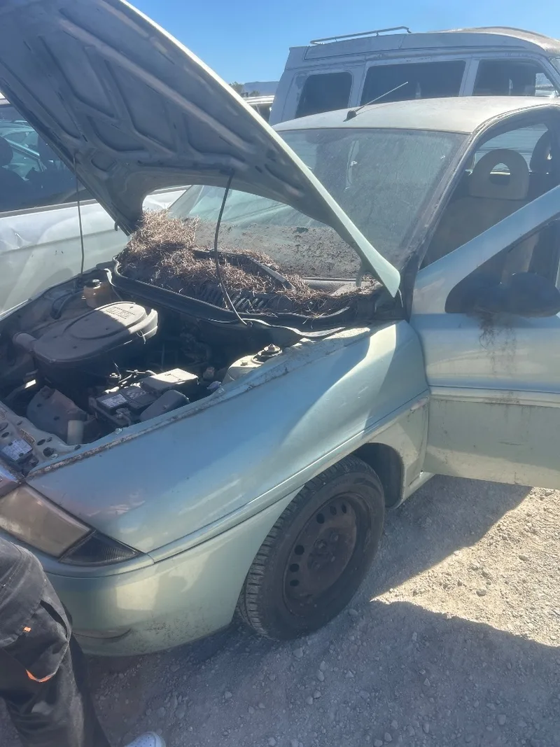LANCIA Y