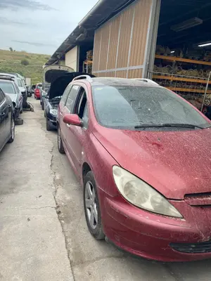 PEUGEOT 307 BREAK / SW (S1)(04.2002) foto 3