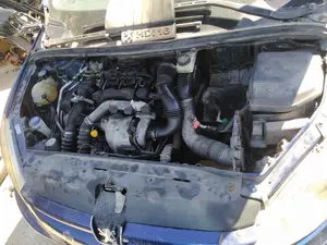 PEUGEOT 307 BREAK / SW (S1)(04.2002) foto 6