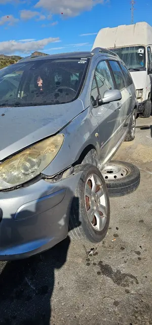 PEUGEOT 307 BREAK/ SW (S2) foto 3