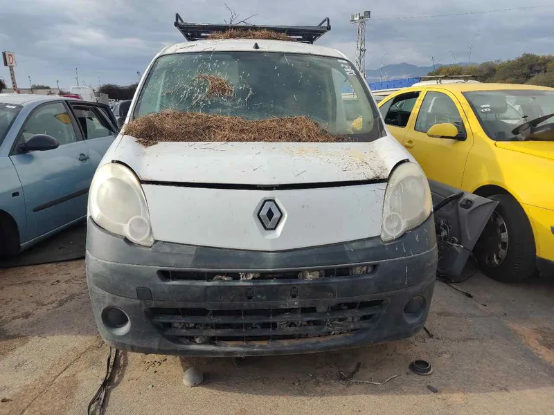 RENAULT KANGOO II (F/KW0)