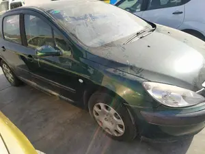PEUGEOT 307 (S1)(04.2001) foto 5