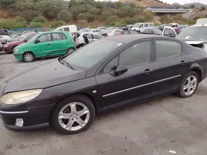 PEUGEOT 407 foto 4