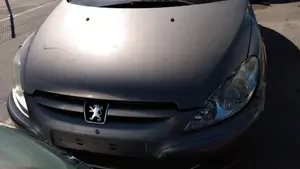 PEUGEOT 307 (S1)(04.2001) foto 1