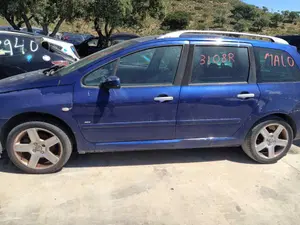 PEUGEOT 307 BREAK / SW (S1)(04.2002) foto 4