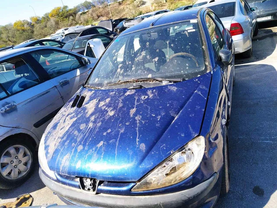 PEUGEOT 206