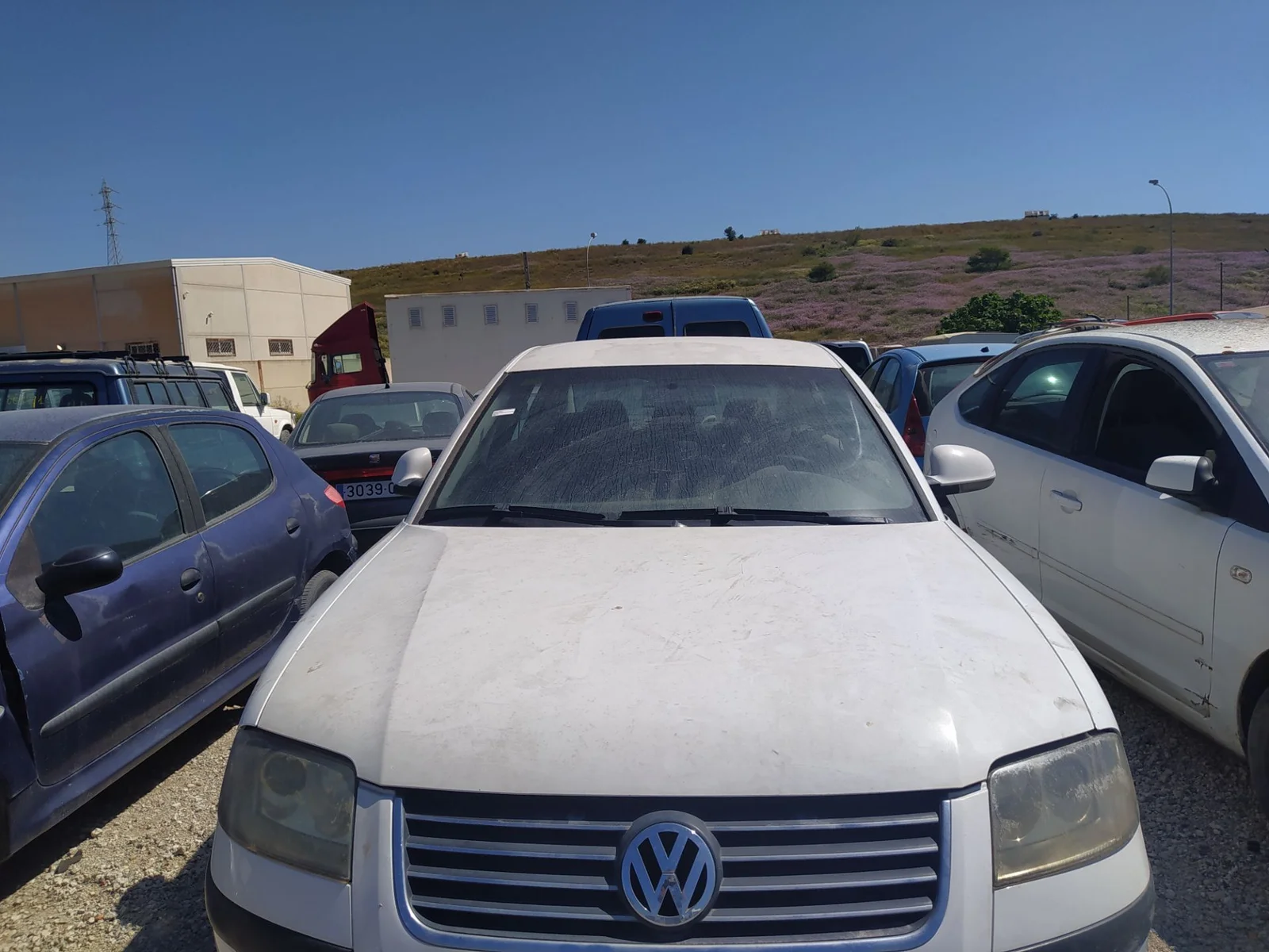 VOLKSWAGEN PASSAT BERLINA (3B3)