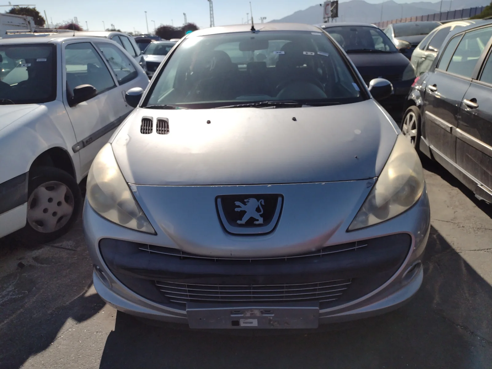 PEUGEOT 206 +