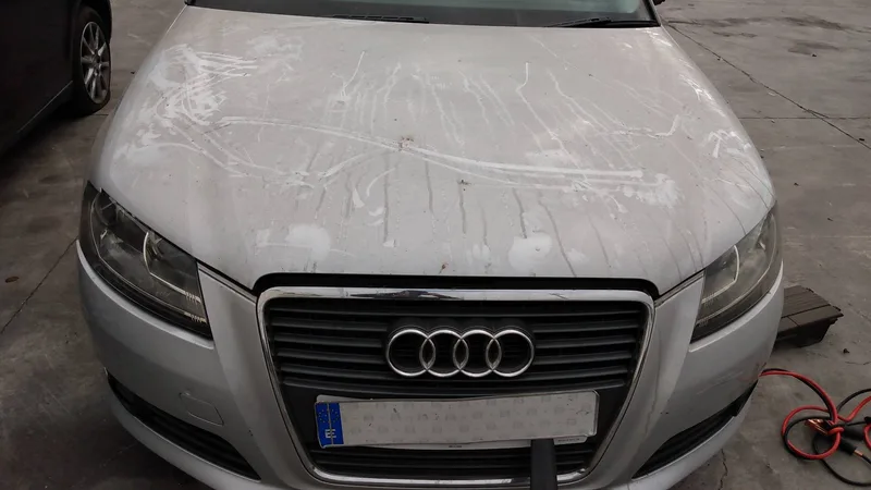 AUDI A3 (8P1)