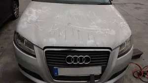 AUDI A3 (8P1) foto 1