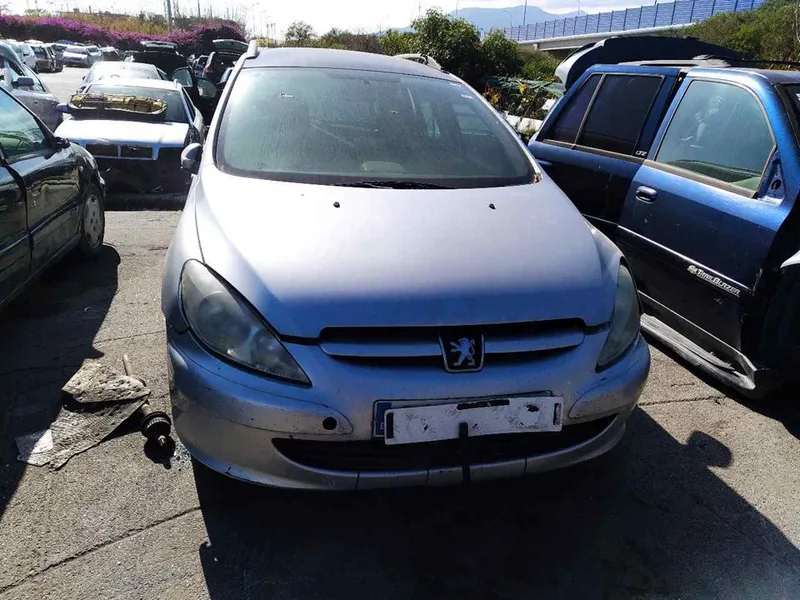 PEUGEOT 307 BREAK / SW (S1)(04.2002)