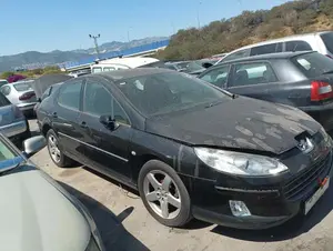 PEUGEOT 407 SW foto 2