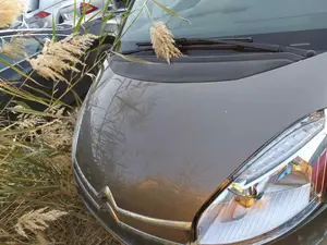 CITROEN C4 PICASSO foto 1