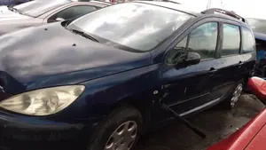 PEUGEOT 307 (S1)(04.2001) foto 2