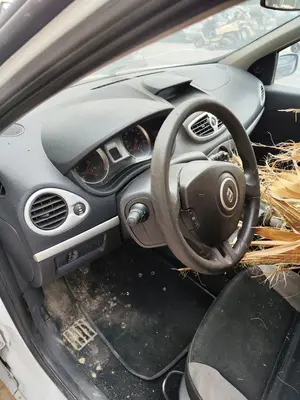 RENAULT CLIO III foto 9