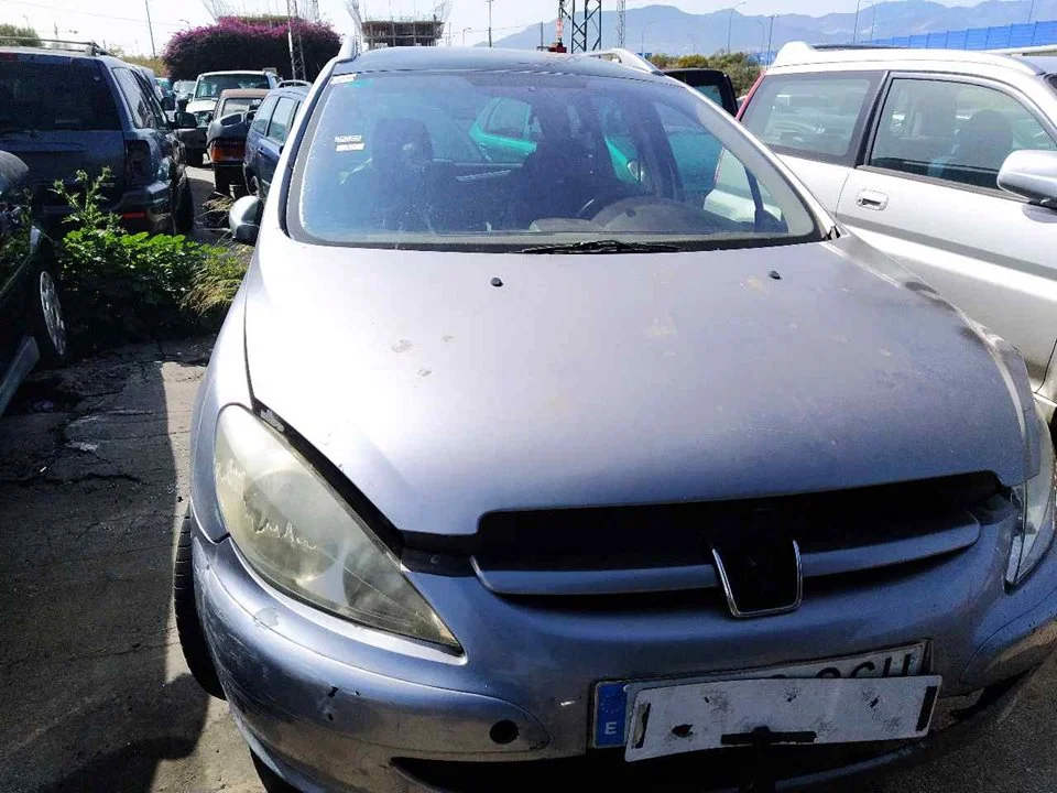 PEUGEOT 307 BREAK / SW (S1)(04.2002)