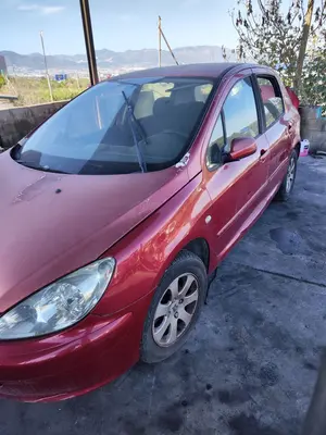PEUGEOT 307 (S1)(04.2001) foto 7