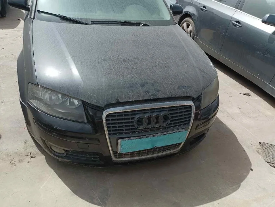 AUDI A3 (8P1)