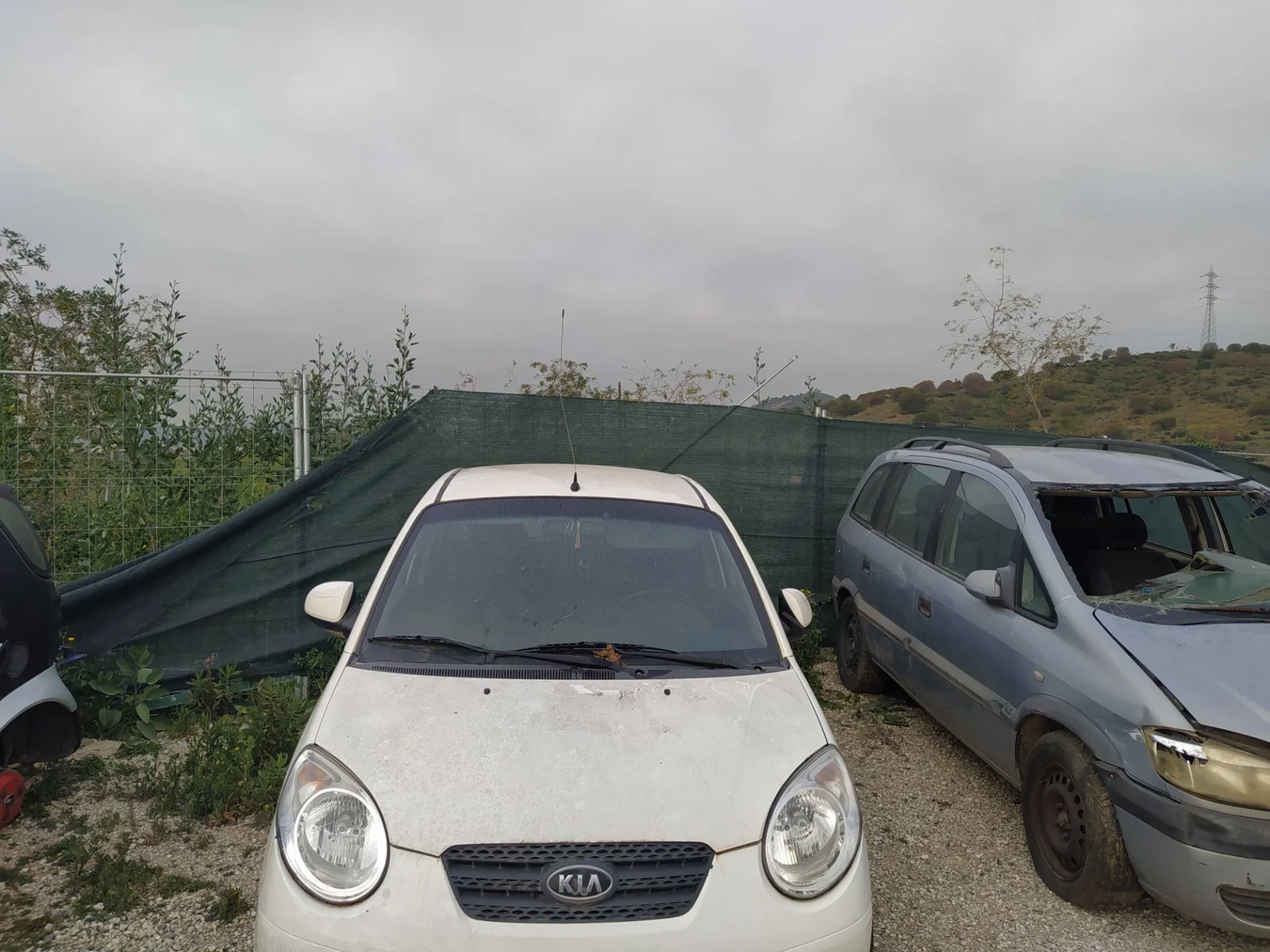 KIA PICANTO (SA)
