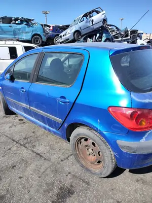 PEUGEOT 307 (S1)(04.2001) foto 6