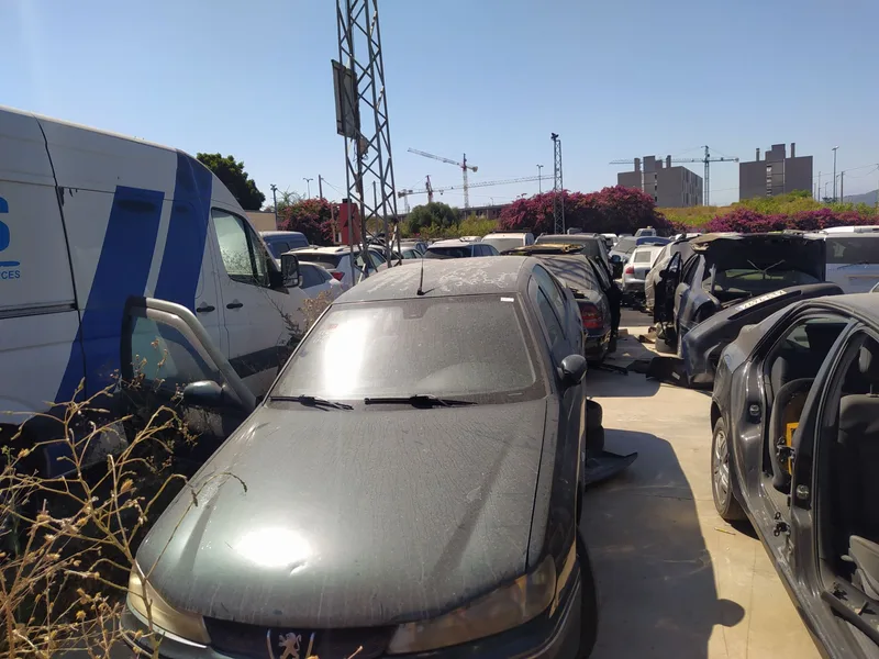 PEUGEOT 406 BERLINA (S1/S2)