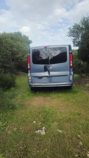 OPEL VIVARO FURGÓN/COMBI foto 2
