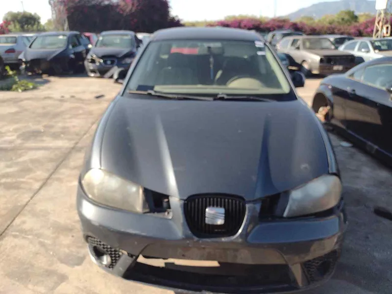 SEAT IBIZA (6L1)