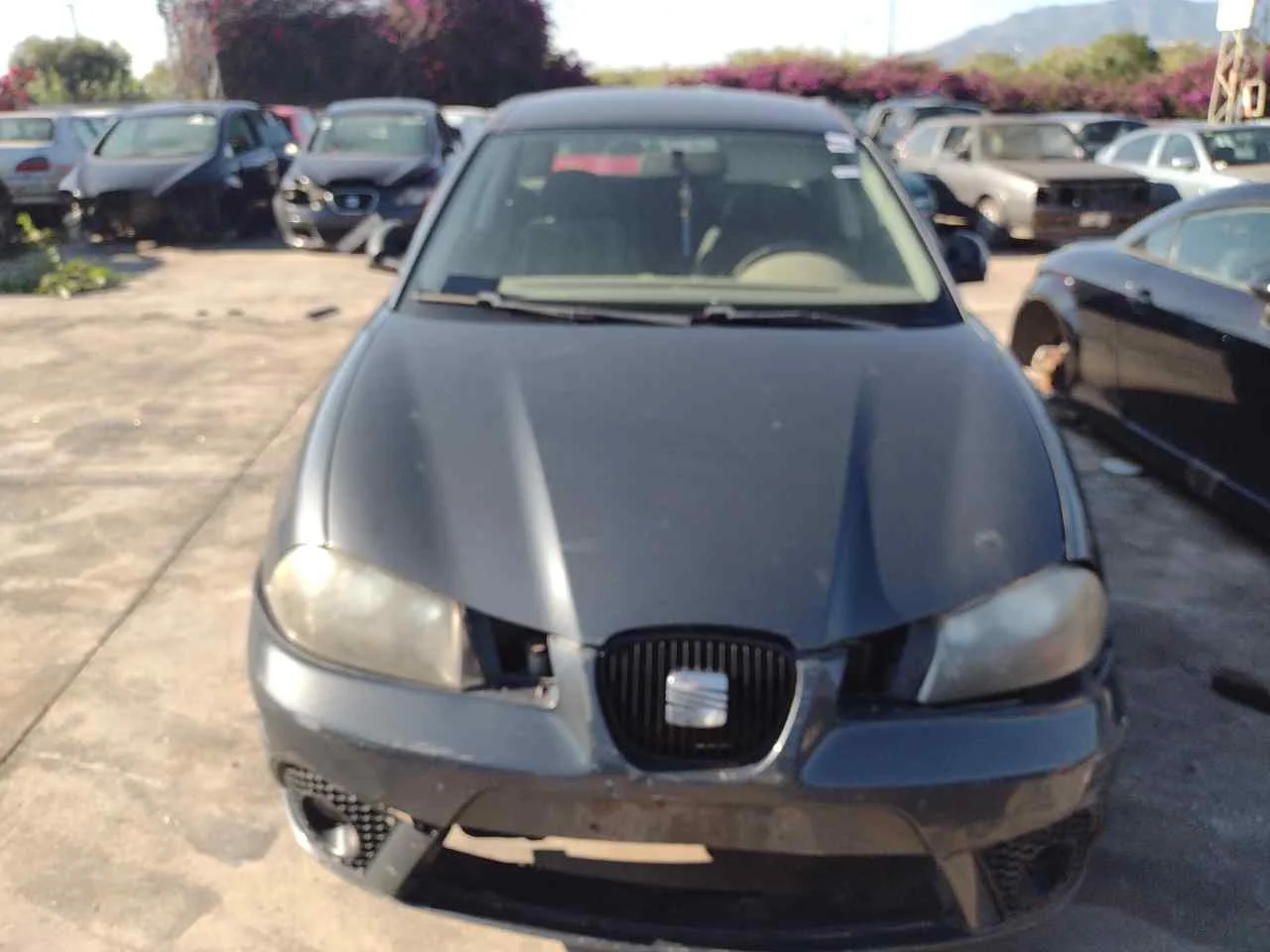 SEAT IBIZA (6L1)