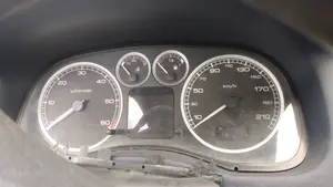 PEUGEOT 307 (S1)(04.2001) foto 19