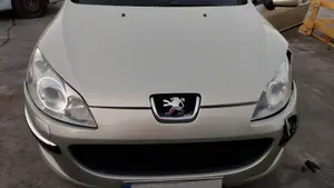PEUGEOT 407 SW foto 1