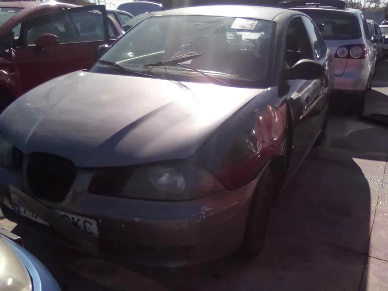 SEAT IBIZA (6L1)