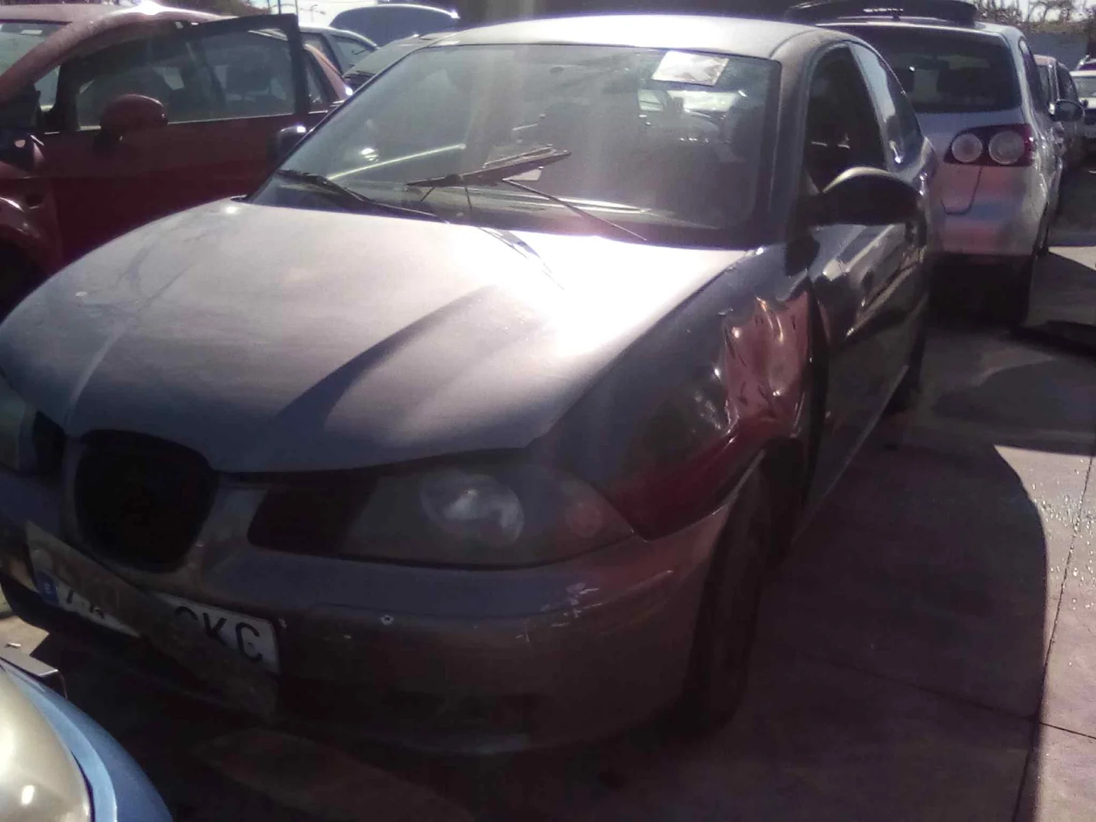 SEAT IBIZA (6L1)