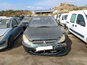 PEUGEOT 307 (S1)(04.2001) foto 1