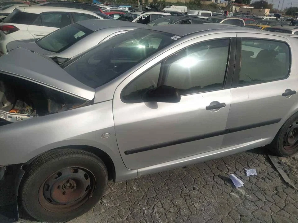 PEUGEOT 307 (S1)(04.2001)