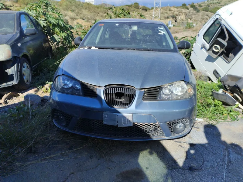 SEAT IBIZA (6L1)