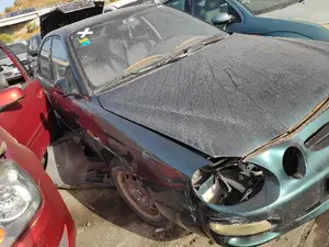 KIA SHUMA foto 3