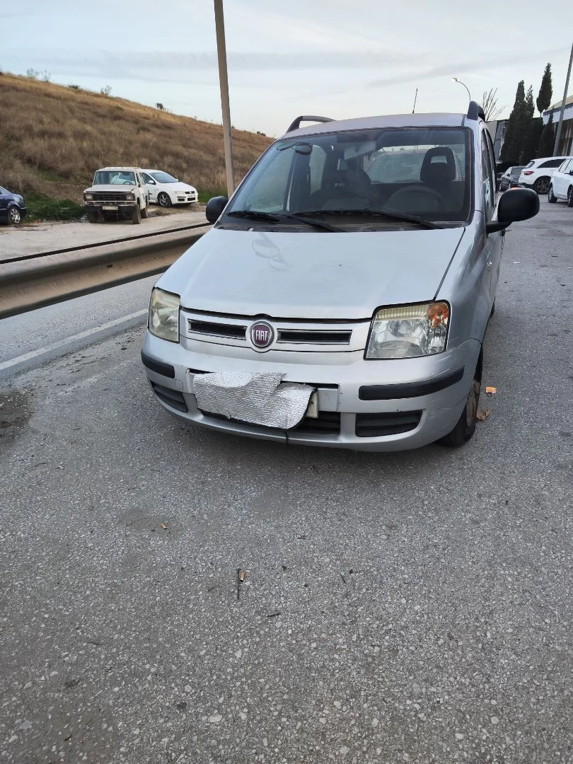 FIAT II PANDA (169)