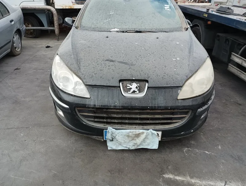 PEUGEOT 407