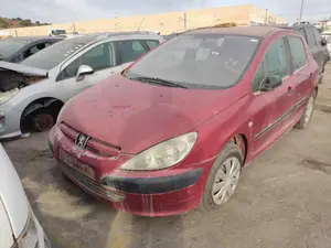 PEUGEOT 307 (S1)(04.2001) foto 1
