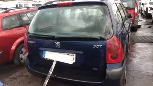 PEUGEOT 307 (S1)(04.2001) foto 12