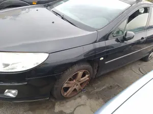 PEUGEOT 407 foto 2