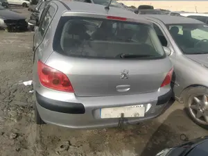 PEUGEOT 307 (S1)(04.2001) foto 4