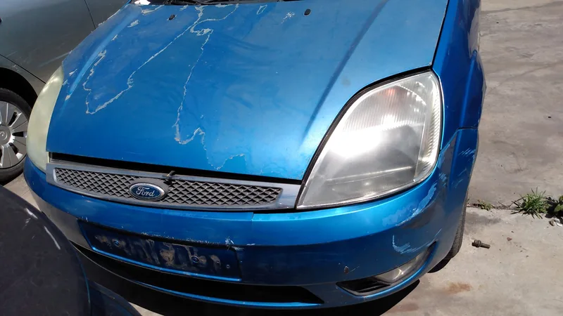 FORD FIESTA (CBK)