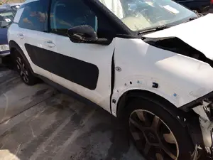 CITROEN C4 CACTUS foto 2