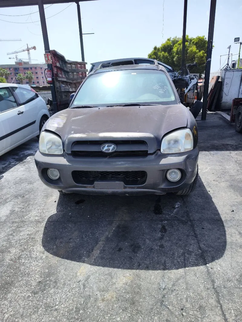 HYUNDAI SANTA FE (SM)
